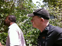 In the Jungle