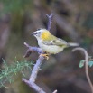 IMG_0805-2