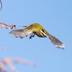 IMG_0825