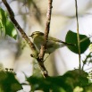 IMG_1001-2