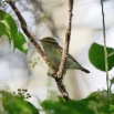 IMG_1005-2