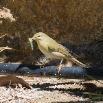 IMG_1508