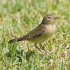 IMG_1611
