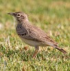 IMG_1844