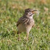 IMG_1859