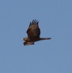 IMG_1956