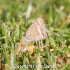 IMG_1869
