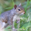 IMG_0359