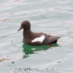 IMG_9370