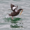 IMG_9399