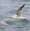 IMG_0129