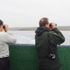 shetland2014-10.jpg